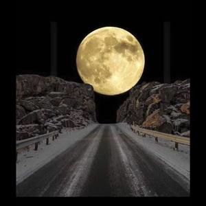 Meet your Posher, Stella